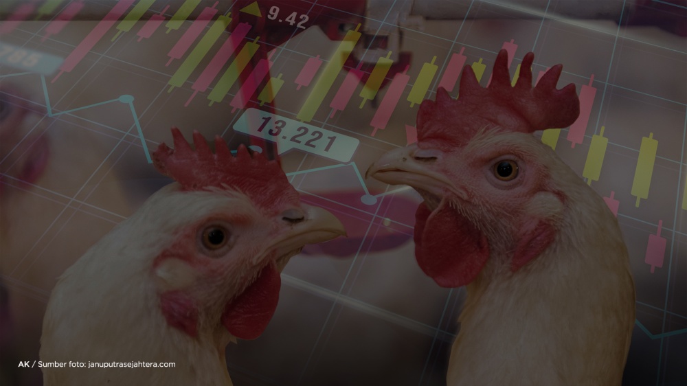 Food mafia blamed for chicken, egg, and rice price anomalies ...