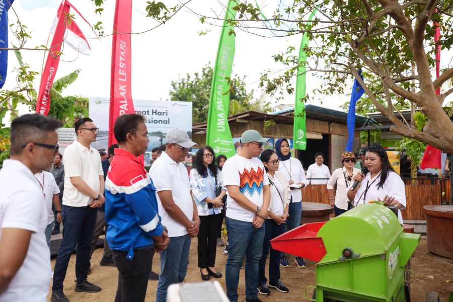 Uma Palak binaan Pertamina, bertani kota dengan energi surya